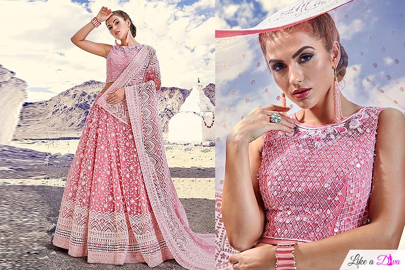 Pastel Pink Embroidered Lehenga