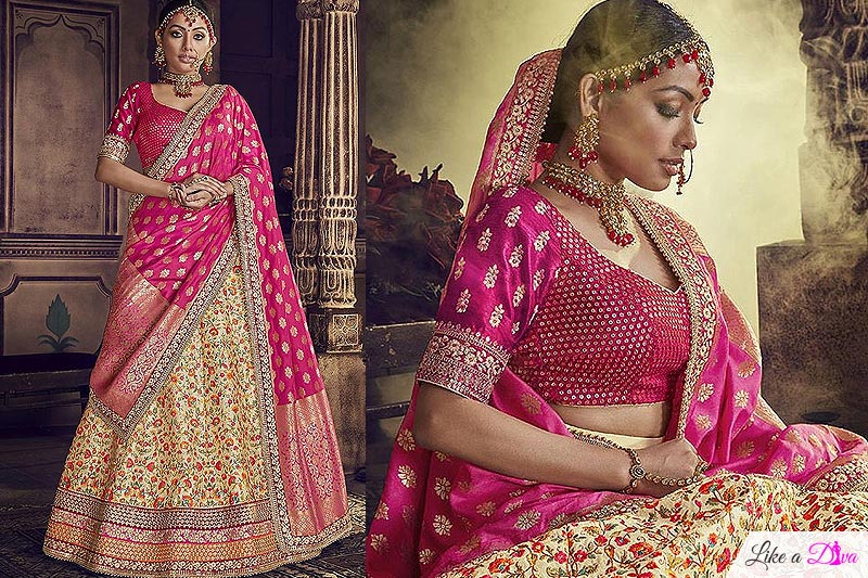 Beige Velvet Wedding Lehenga Choli with Heavy Embroidery
