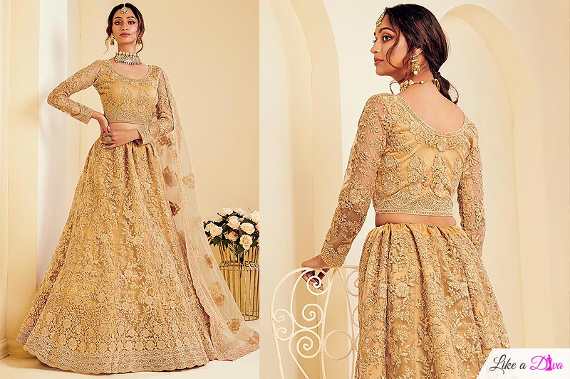 Caramel Gold Net Lehenga Choli with Embroidery