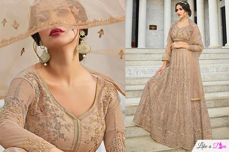 Beige Net Embroidered Lehenga Set
