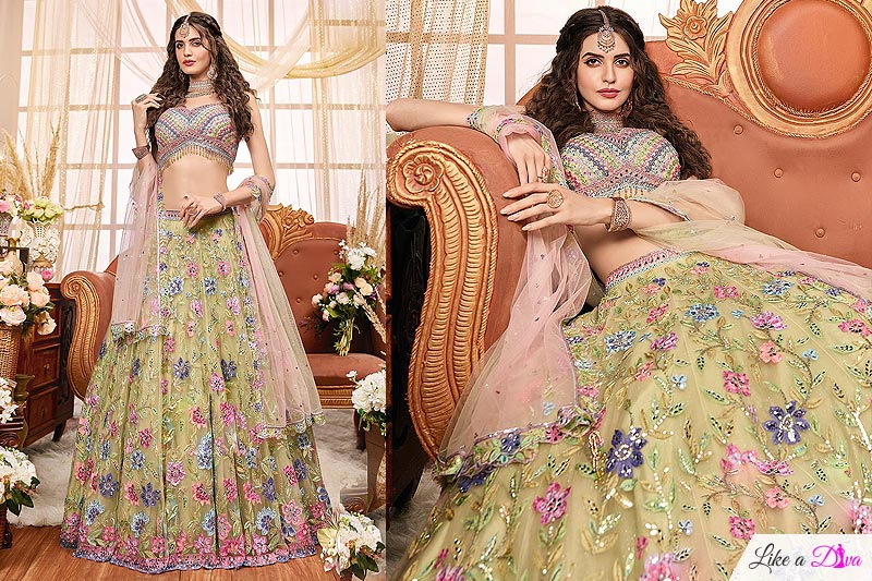 Pastel Green & Multicolored Embroidered Net Designer Lehenga Set