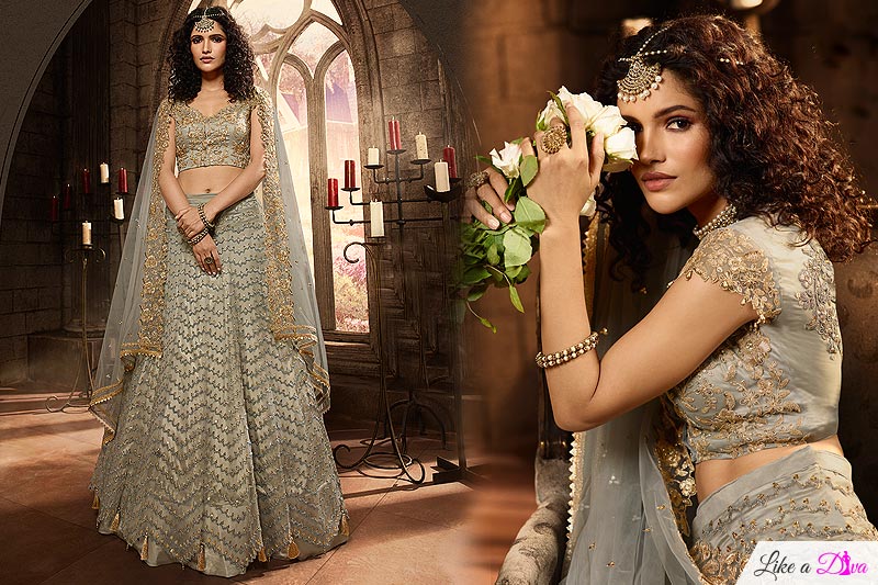 Powder Grey Net Lehenga Choli with Zari Embroidery